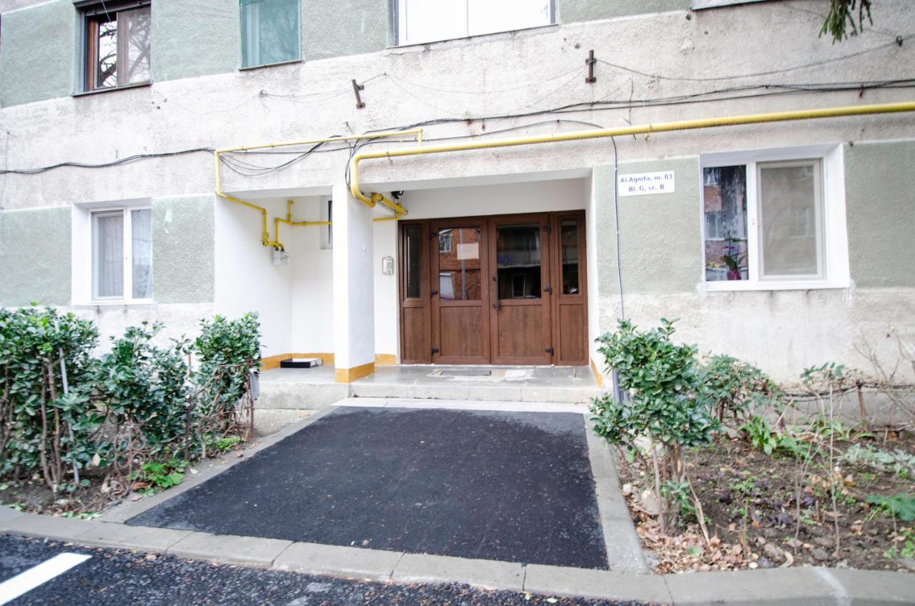 Miha Modern And Central Apartament 아라드 외부 사진