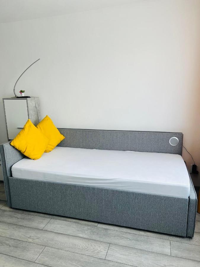 Miha Modern And Central Apartament 아라드 외부 사진