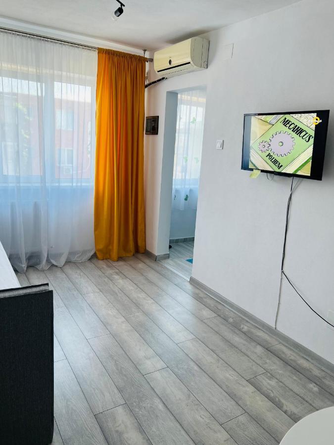 Miha Modern And Central Apartament 아라드 외부 사진